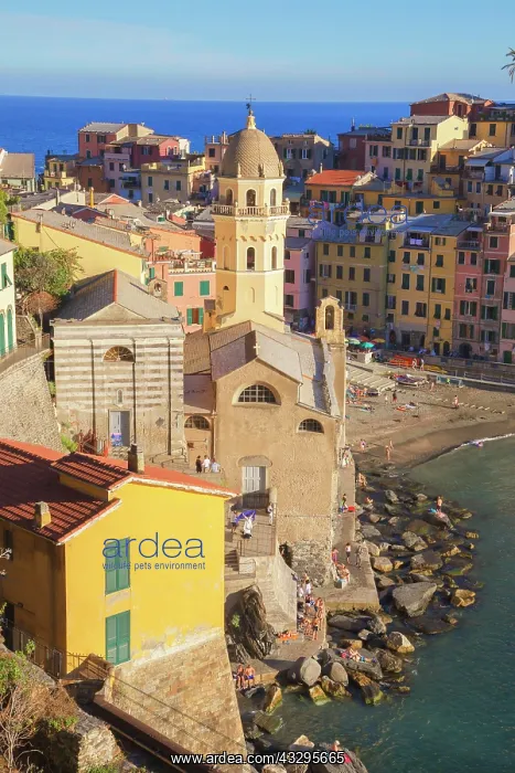: Vernazza, Cinque Terre, Liguria, Italy, Europe The : Vernazza, Cinque Terre, Liguria, Italy, Europe The
