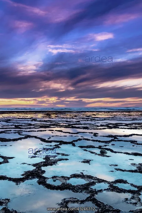 : A vertical view of a beautiful sunset over the ocean : A vertical view of a beautiful sunset over the ocean