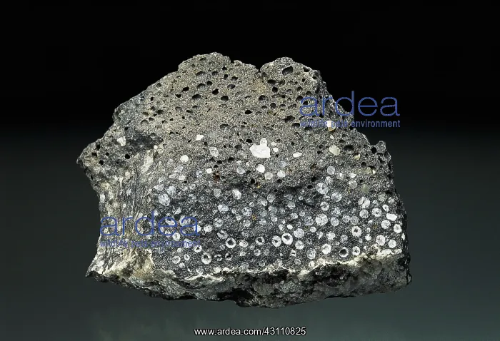 : Vesicular Basalt : Vesicular Basalt