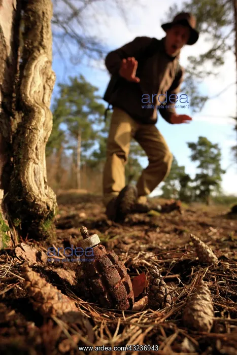 : Vestige of the Second World War : Vestige of the Second World War