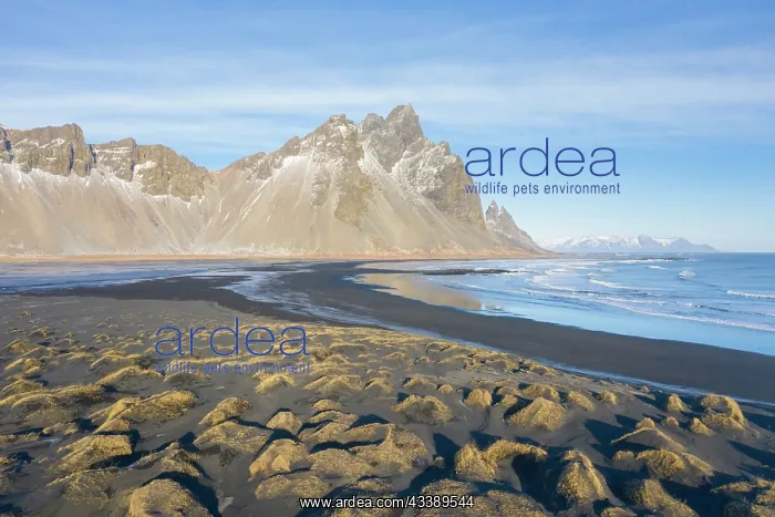  : Vestrahorn