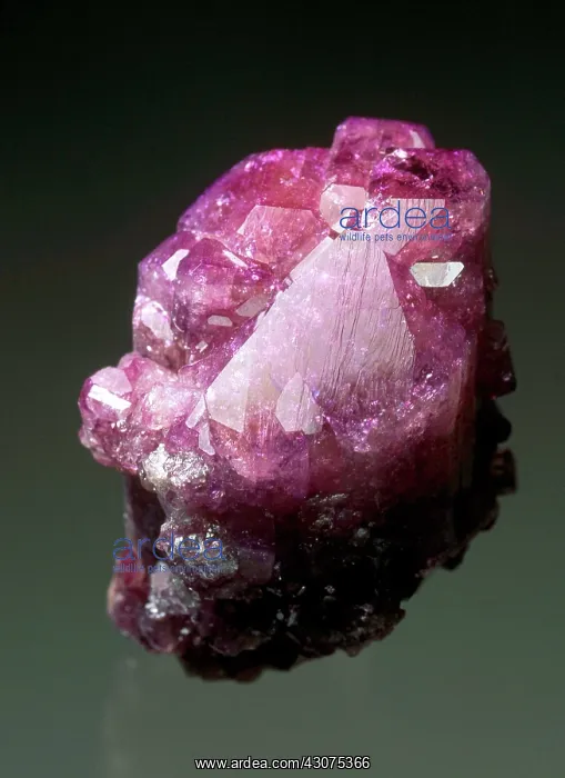 : Vesuvianite : Vesuvianite