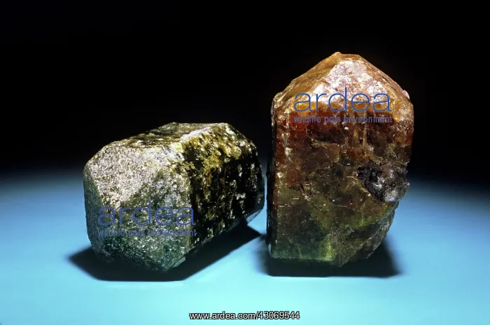 : Vesuvianite from Morelos, Mexico : Vesuvianite from Morelos, Mexico