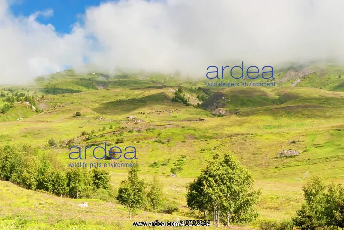 : Vetan, Aosta Valley, Italian Alps, Italy : Vetan, Aosta Valley, Italian Alps, Italy