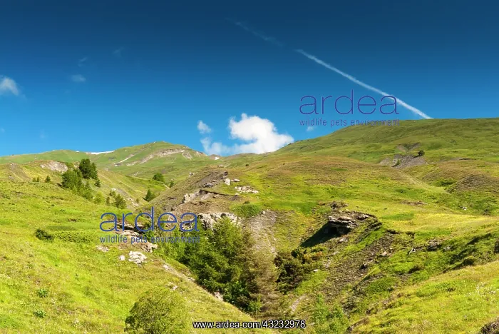 : Vetan, Aosta Valley, Italian Alps, Italy : Vetan, Aosta Valley, Italian Alps, Italy