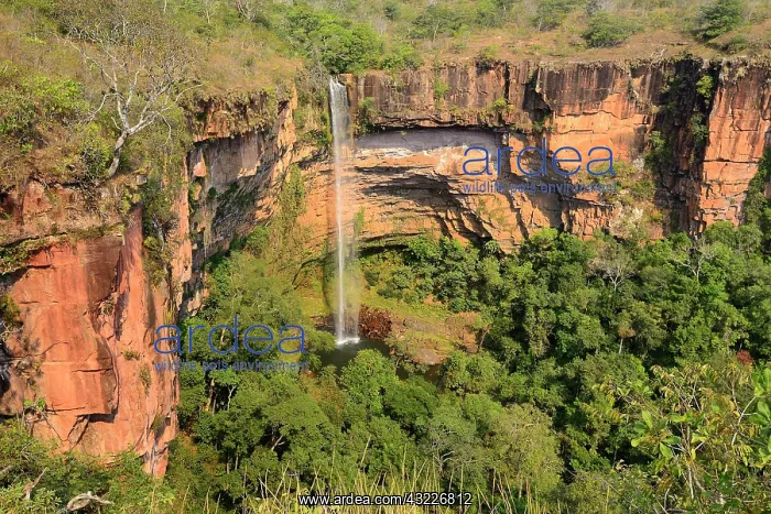 : Veu da Noiva waterfall, Chapada dos Guimaraes NP : Veu da Noiva waterfall, Chapada dos Guimaraes NP