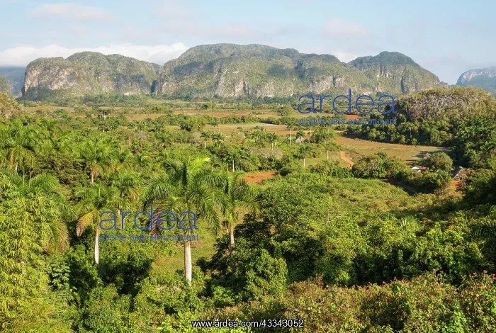 : The Vi nales Valley, officially a national park : The Vi nales Valley, officially a national park