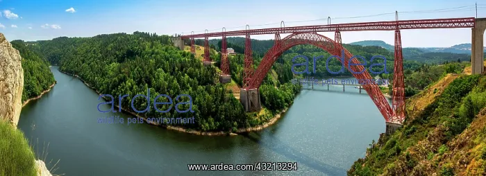 : Viaduc de Garabit built by Gustave Eiffel crossing : Viaduc de Garabit built by Gustave Eiffel crossing