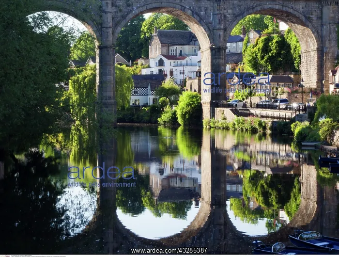 : Viaduct and Reflection in the River Nidd at Knaresborough : Viaduct and Reflection in the River Nidd at Knaresborough