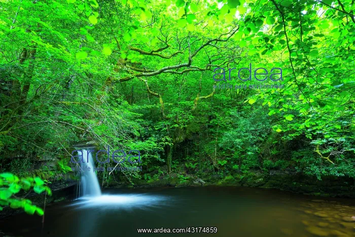 : Viana Falls, Viana river valley, Vega de Pas, Valles : Viana Falls, Viana river valley, Vega de Pas, Valles