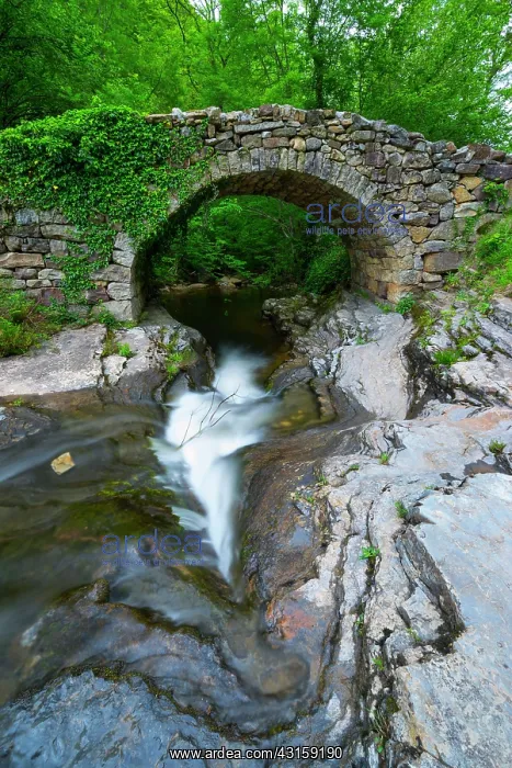 : Viana river valley, Vega de Pas, Valles Pasiegos : Viana river valley, Vega de Pas, Valles Pasiegos