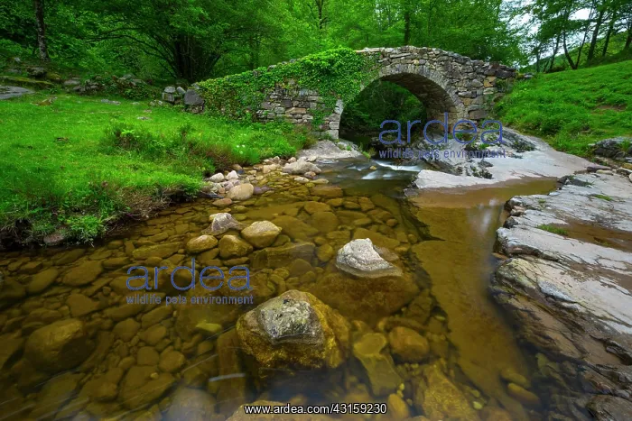 : Viana river valley, Vega de Pas, Valles Pasiegos : Viana river valley, Vega de Pas, Valles Pasiegos