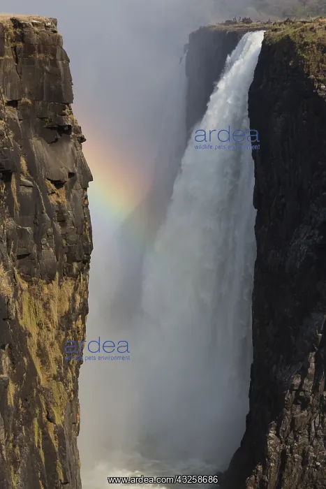 : Victoria fall, Zimbabwe : Victoria fall, Zimbabwe