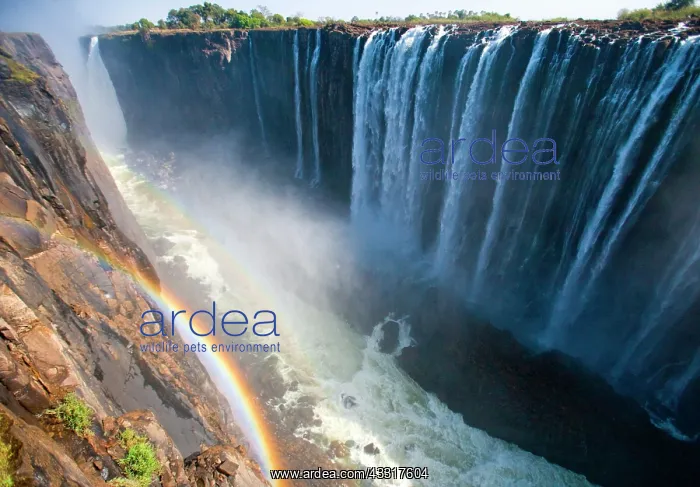 : Victoria Falls. A general view with a rainbow. N : Victoria Falls. A general view with a rainbow. N