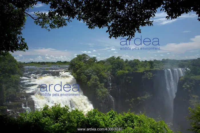 : Victoria Falls or Mosi-oa-Tunya (The Smoke : Victoria Falls or Mosi-oa-Tunya (The Smoke