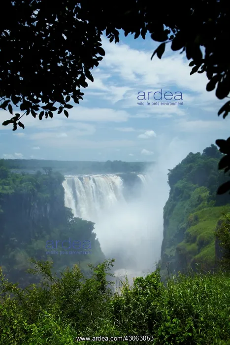 : Victoria Falls or Mosi-oa-Tunya (The Smoke : Victoria Falls or Mosi-oa-Tunya (The Smoke