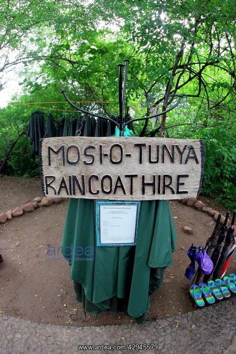 : Victoria Falls - raincoats for hire, to avoid getting : Victoria Falls - raincoats for hire, to avoid getting