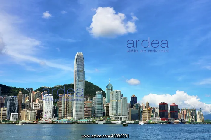 : Victoria Harbour and Skyline, Hong Kong, China : Victoria Harbour and Skyline, Hong Kong, China
