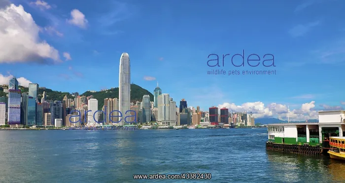  : Victoria Harbour and Skyline, Hong Kong, China