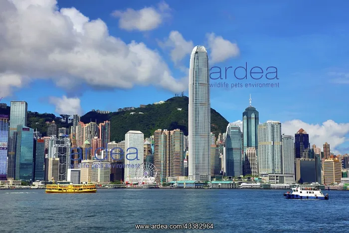 : Victoria Harbour and Skyline, Hong Kong, China : Victoria Harbour and Skyline, Hong Kong, China