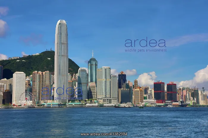 : Victoria Harbour and Skyline, Hong Kong, China : Victoria Harbour and Skyline, Hong Kong, China