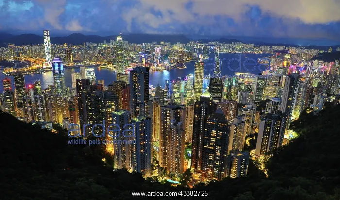 : Victoria Harbour and Skyline from Victoria Peak at night, Ho : Victoria Harbour and Skyline from Victoria Peak at night, Ho