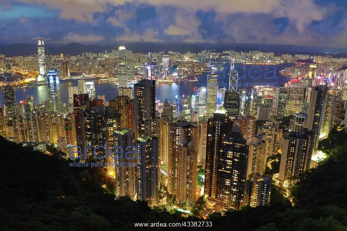 : Victoria Harbour and Skyline from Victoria Peak at night, Ho : Victoria Harbour and Skyline from Victoria Peak at night, Ho