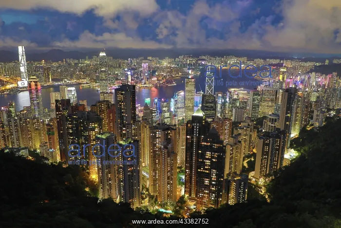 : Victoria Harbour and Skyline from Victoria Peak at night, Ho : Victoria Harbour and Skyline from Victoria Peak at night, Ho