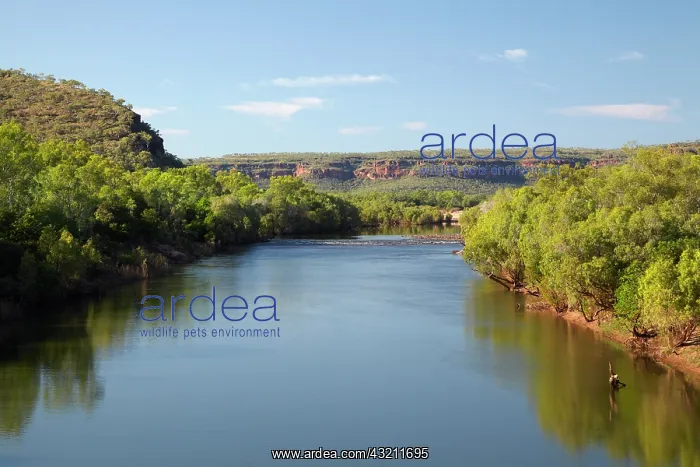: Victoria River, and Victoria Highway, Gregory : Victoria River, and Victoria Highway, Gregory