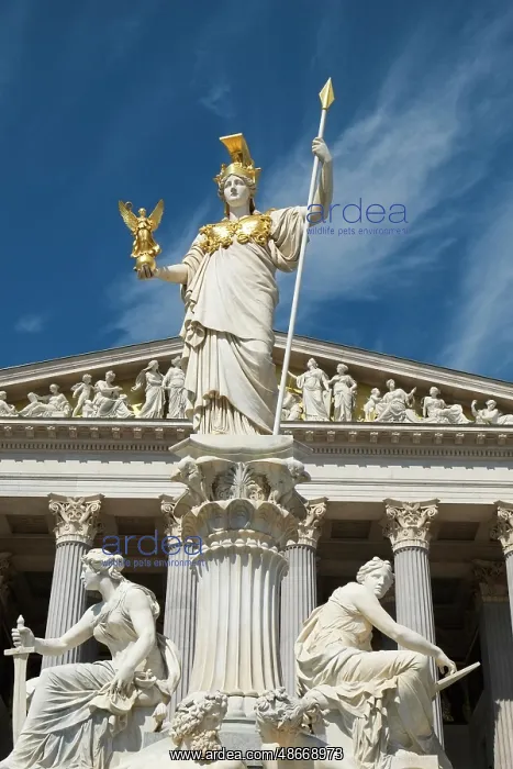 : Vienna, Austria. Beautiful Parliament building in Vienna : Vienna, Austria. Beautiful Parliament building in Vienna