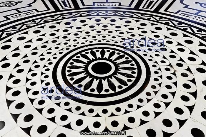 : Vienna, Austria. Kunsthistorisches Museum. (Editorial Use : Vienna, Austria. Kunsthistorisches Museum. (Editorial Use