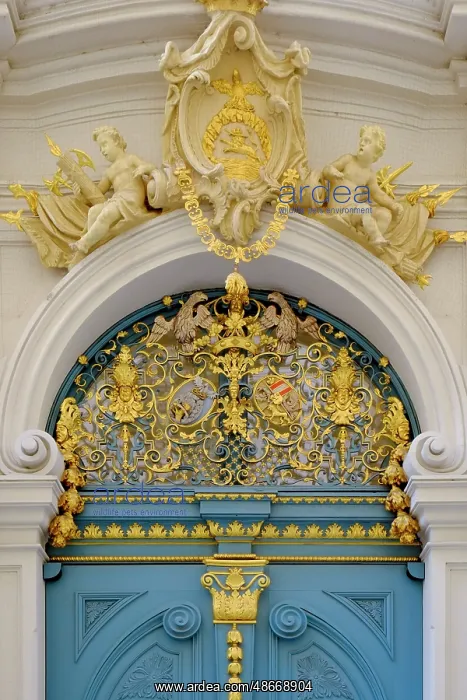 : Vienna, Austria. Stunning blue carved door, 1800's : Vienna, Austria. Stunning blue carved door, 1800's