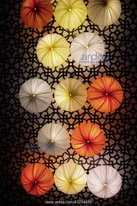 : Vietnam. Colorful lamps for sale : Vietnam. Colorful lamps for sale