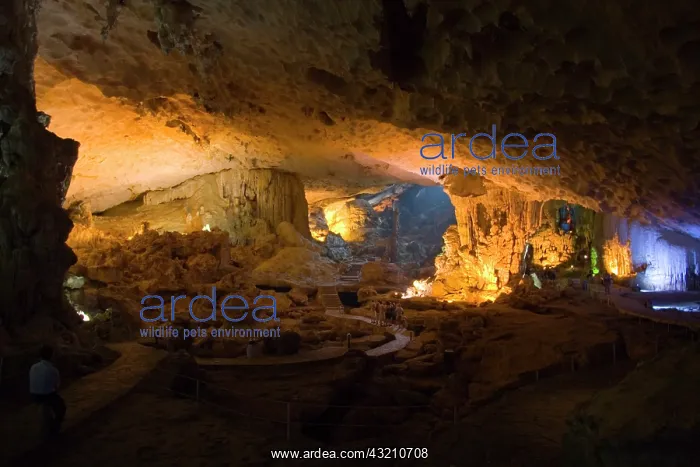 : Vietnam, Ha Long Bay, UNESCO World Heritage : Vietnam, Ha Long Bay, UNESCO World Heritage