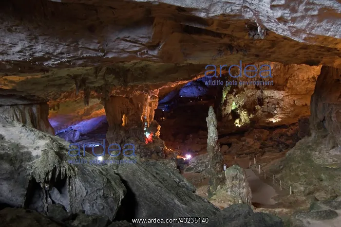 : Vietnam, Ha Long Bay, UNESCO World Heritage : Vietnam, Ha Long Bay, UNESCO World Heritage