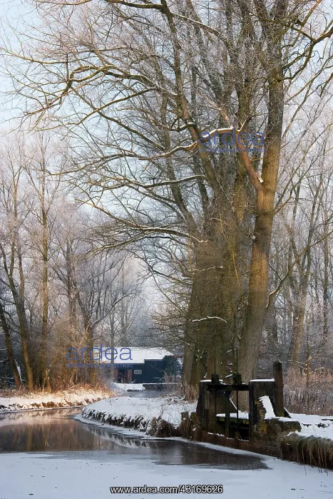 : View on the 14th century coll watermill in winter landscape : View on the 14th century coll watermill in winter landscape