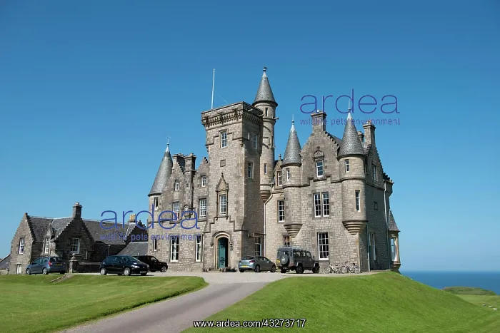 : View of a 19th century country house near the coast : View of a 19th century country house near the coast