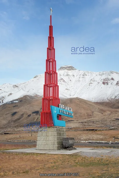 : View of the abandoned Russian town of Pyramiden : View of the abandoned Russian town of Pyramiden