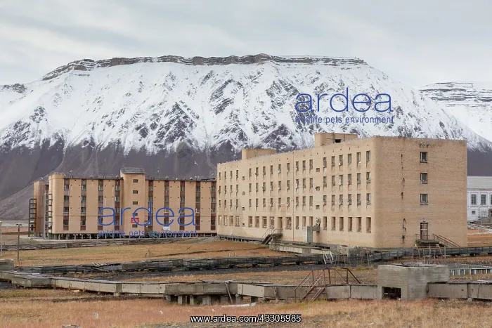 : View of the abandoned Russian town of Pyramiden : View of the abandoned Russian town of Pyramiden