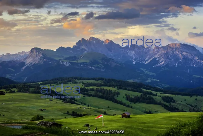 : View over the Alpe di Siusi (foreground) to the : View over the Alpe di Siusi (foreground) to the