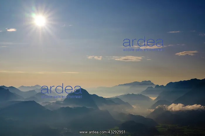 : View of Alpine panorama, Osterhorn group, Dachstein : View of Alpine panorama, Osterhorn group, Dachstein