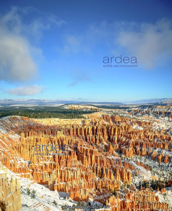 : View of the amphitheatre, snow-covered bizarre rocky : View of the amphitheatre, snow-covered bizarre rocky