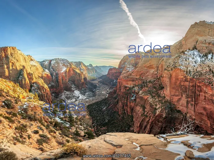 : View from Angels Landing into Zion Canyon with Virgin : View from Angels Landing into Zion Canyon with Virgin