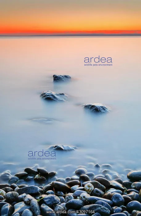 : View from Arbon over Lake Constance at sunrise with : View from Arbon over Lake Constance at sunrise with