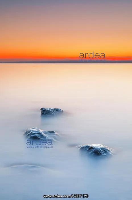 : View from Arbon over Lake Constance at sunrise with : View from Arbon over Lake Constance at sunrise with