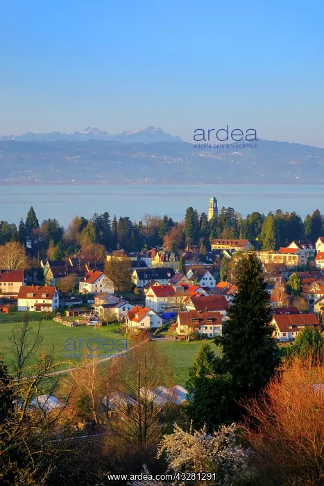 : View over Bad Schachen to the Appenzeller Land and : View over Bad Schachen to the Appenzeller Land and