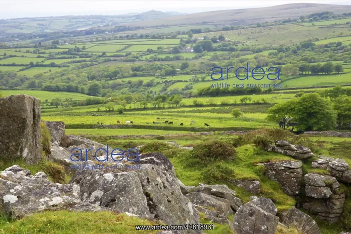 : View from Bagga Tor : View from Bagga Tor