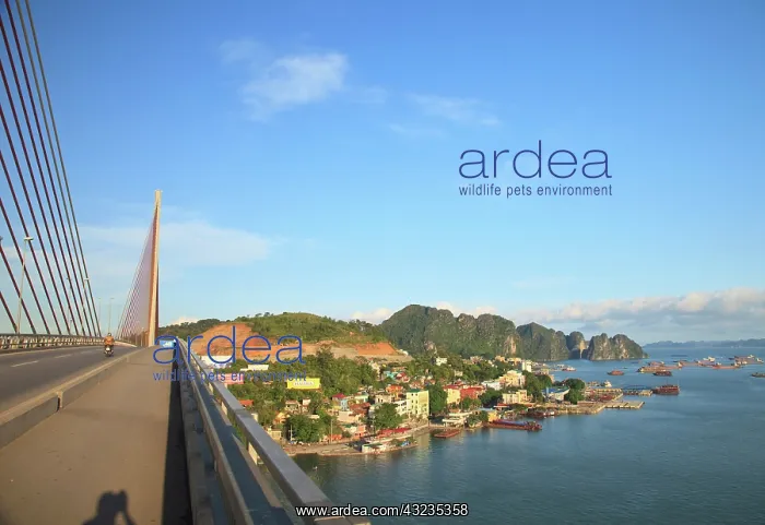 : View from Bai Chay Bridge towards Ha Long : View from Bai Chay Bridge towards Ha Long