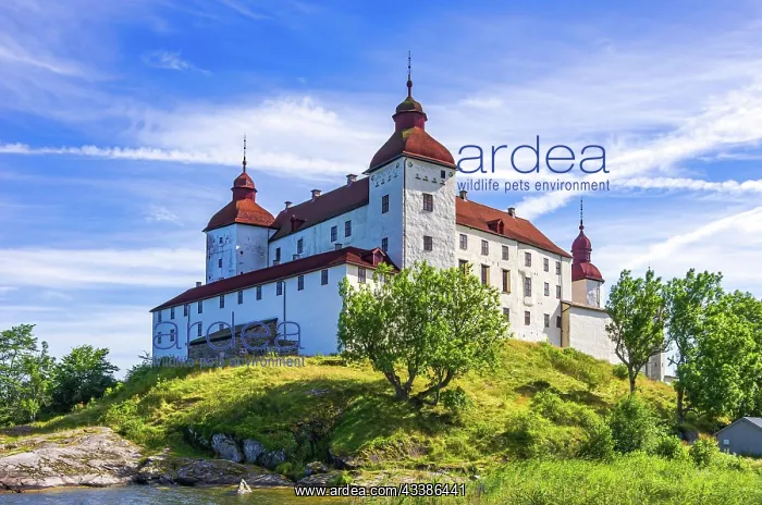 : View of baroque Lcckn Castle on K llandsn in Vcnern : View of baroque Lcckn Castle on K llandsn in Vcnern