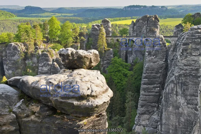 : View of the Bastei, Bastei Bridge, with Wehlnade : View of the Bastei, Bastei Bridge, with Wehlnade